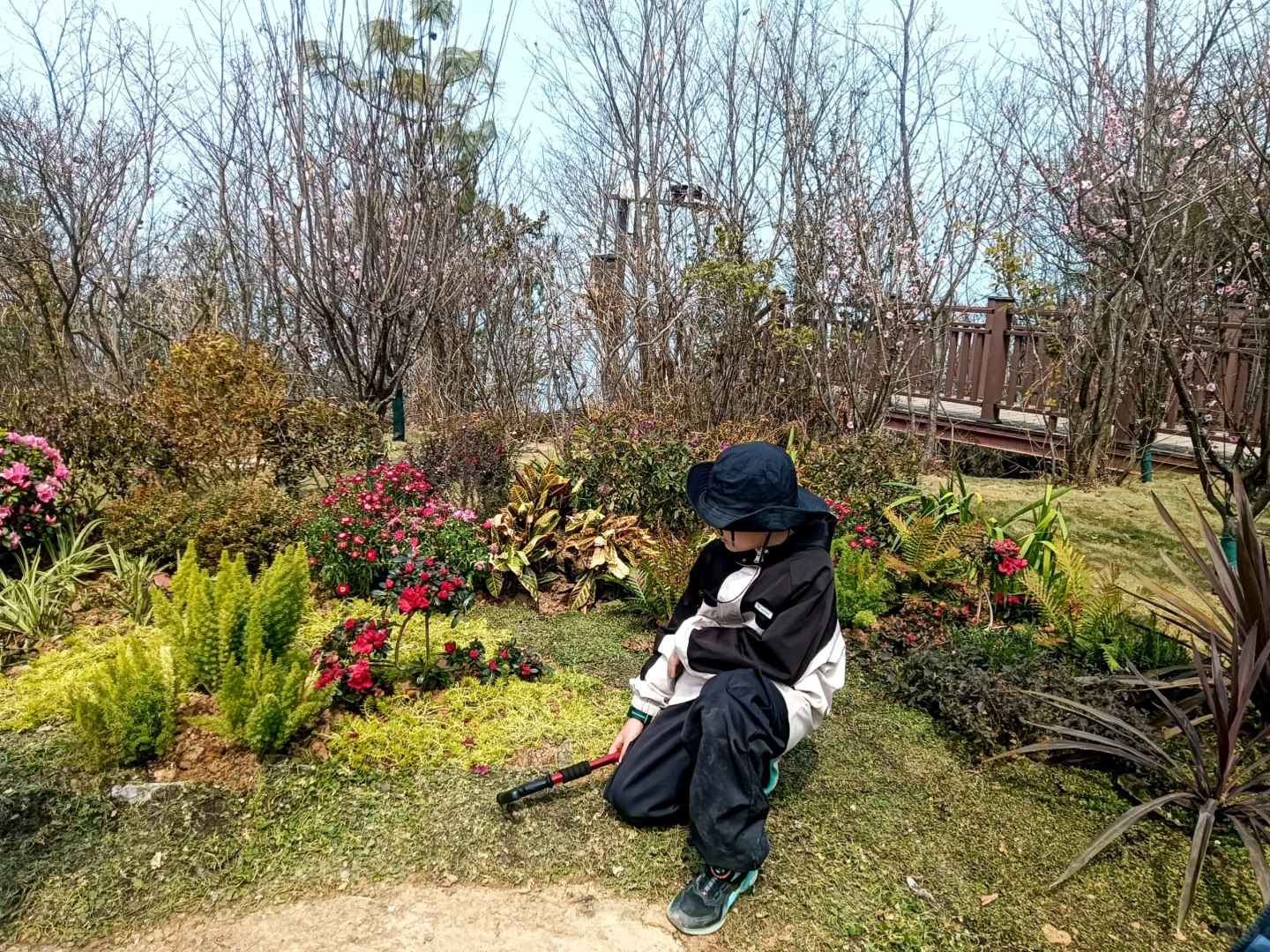 奉节滴滴一日游🚙