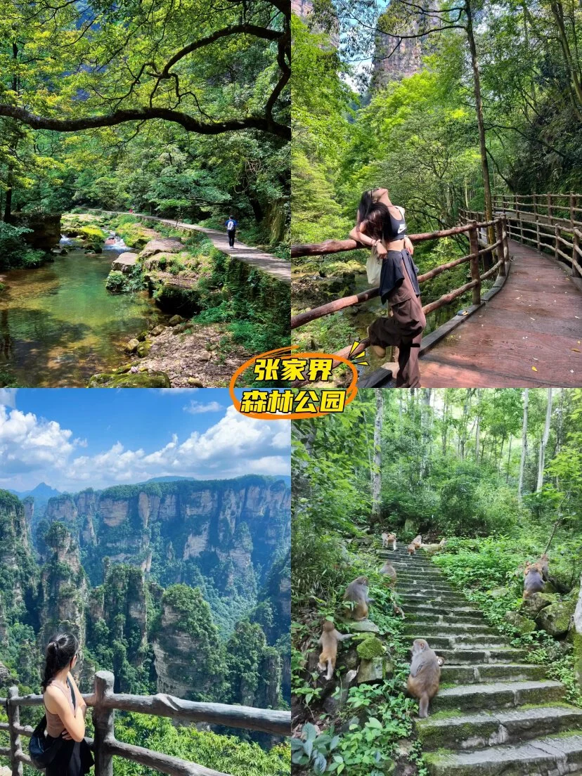 4月张家界凤凰5日嗨玩，纯玩小团不踩坑🥰