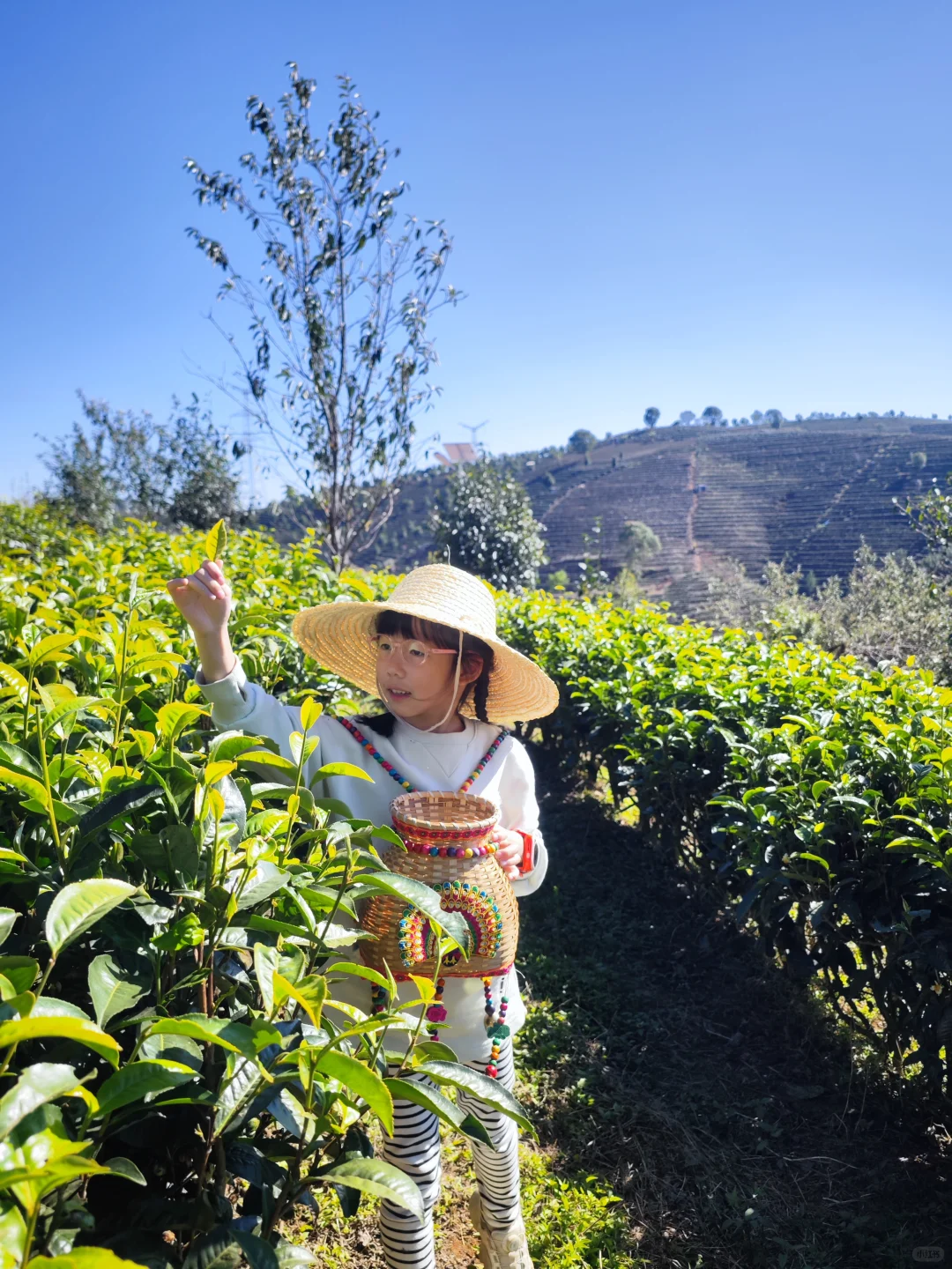 6年亲子游,我推荐这些地方(按年龄盘点)