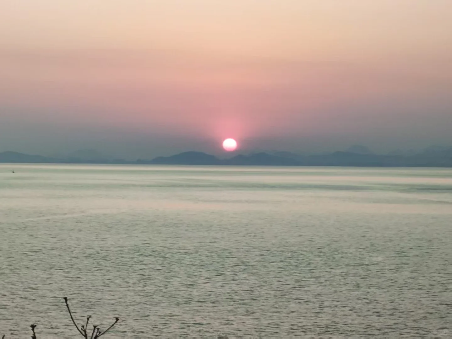 早知她如此,便不去这旅游了