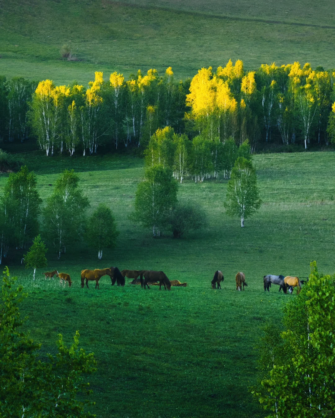 真不是国外❗️生命就该浪费在这种地方啊😭