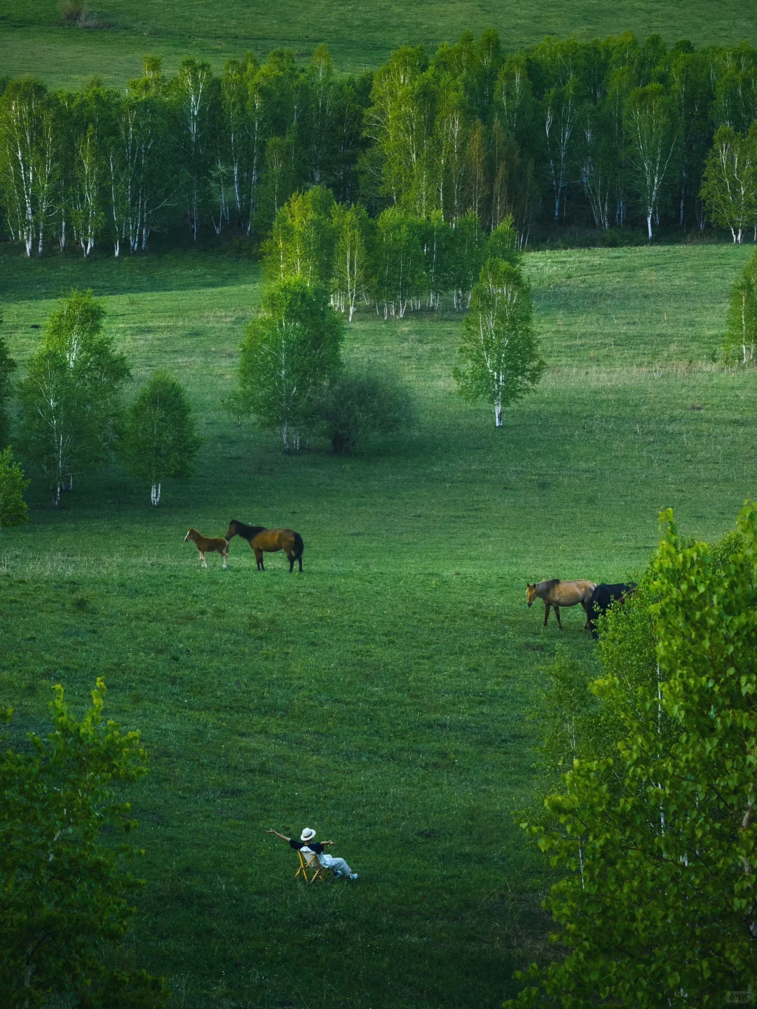 真不是国外❗️生命就该浪费在这种地方啊😭