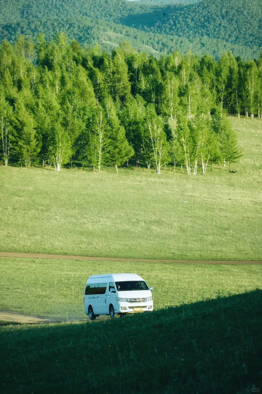 真不是国外❗️生命就该浪费在这种地方啊😭