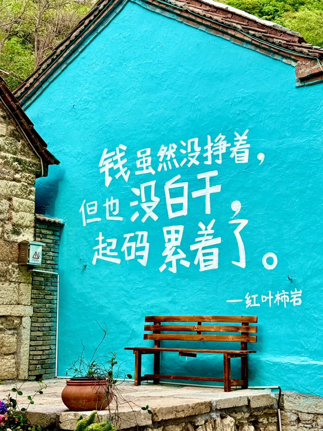 山东周边游｜淄博有自己的热带雨林🌴