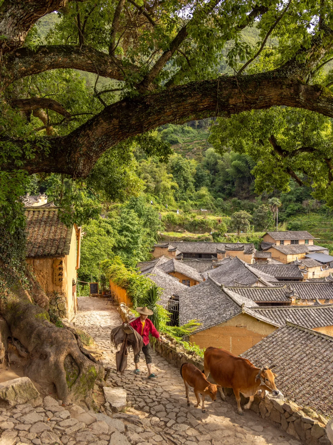 推荐9️⃣个适合五一端午假期出游旅行目的地
