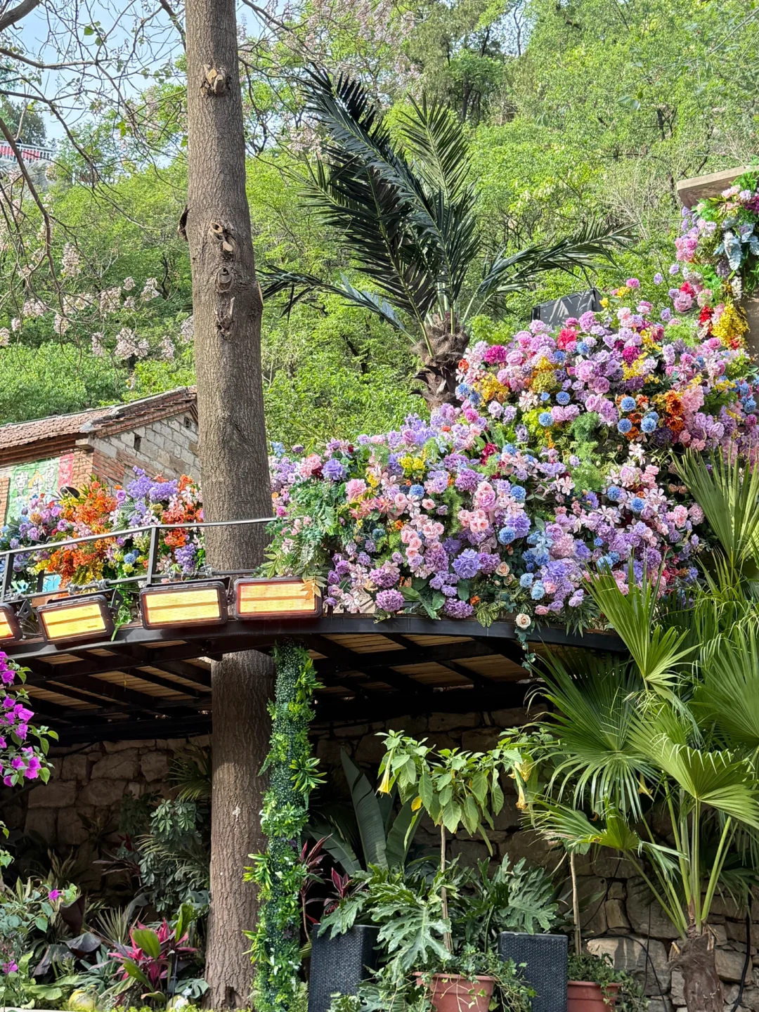 山东周边游｜淄博有自己的热带雨林🌴