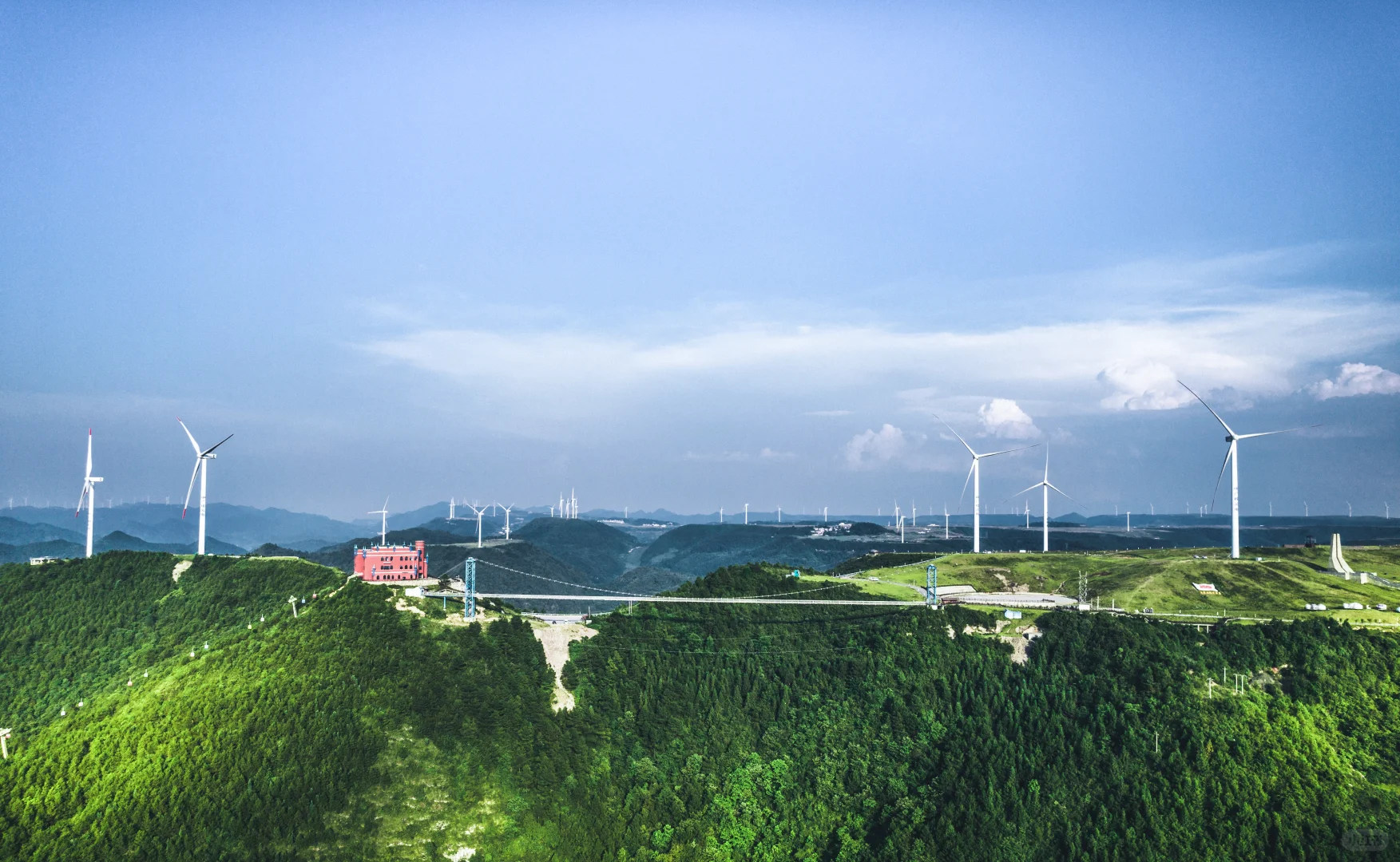 油画大草原｜夏日的调色盘，20℃指南‌