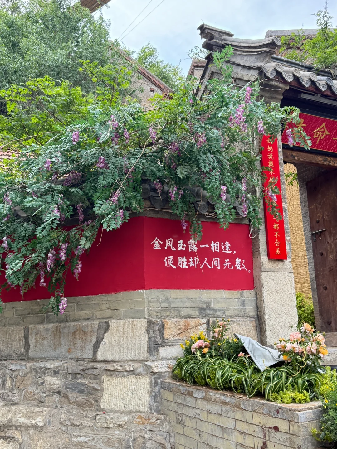 山东周边游｜淄博有自己的热带雨林🌴