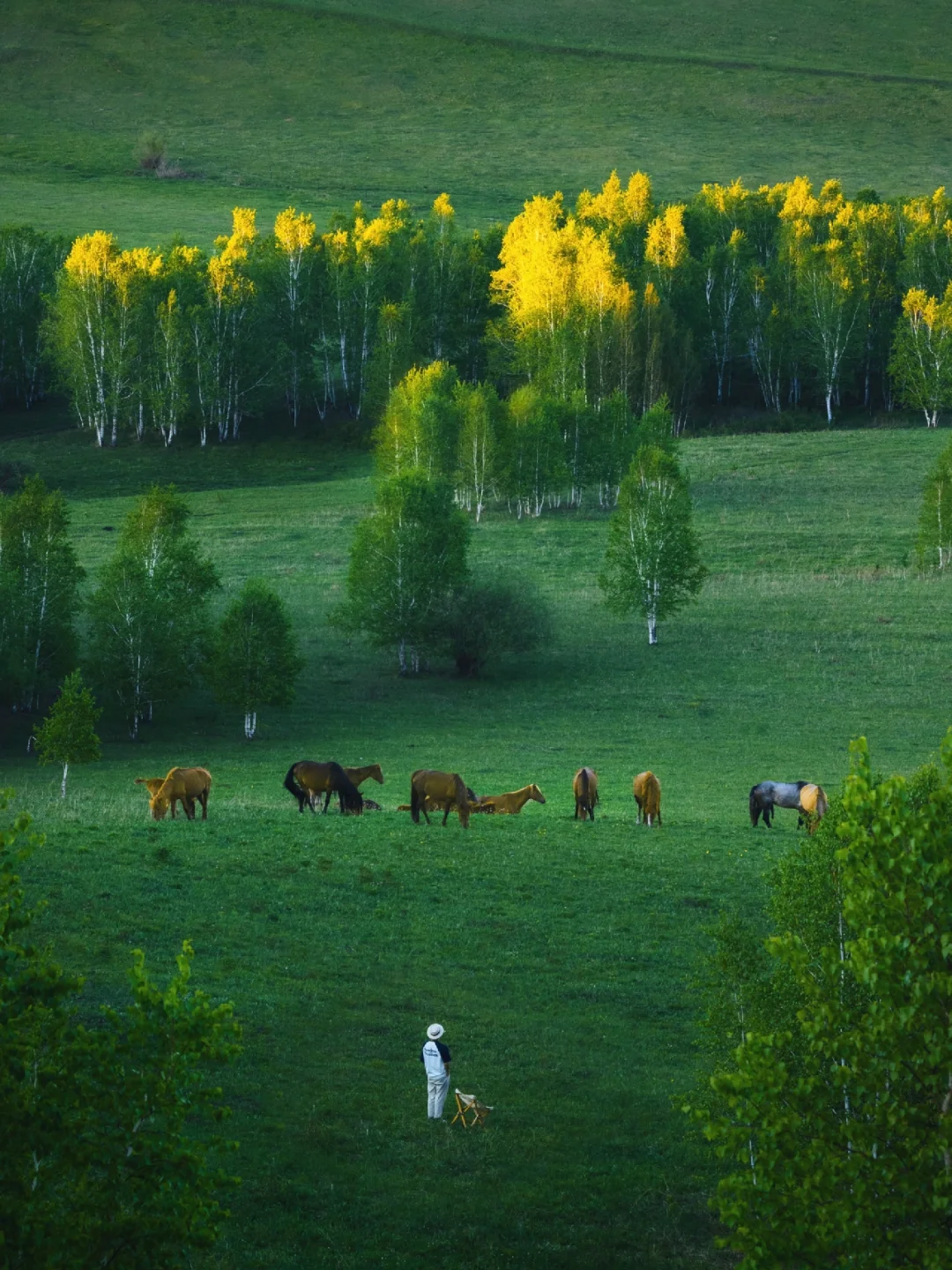 真不是国外❗️生命就该浪费在这种地方啊😭