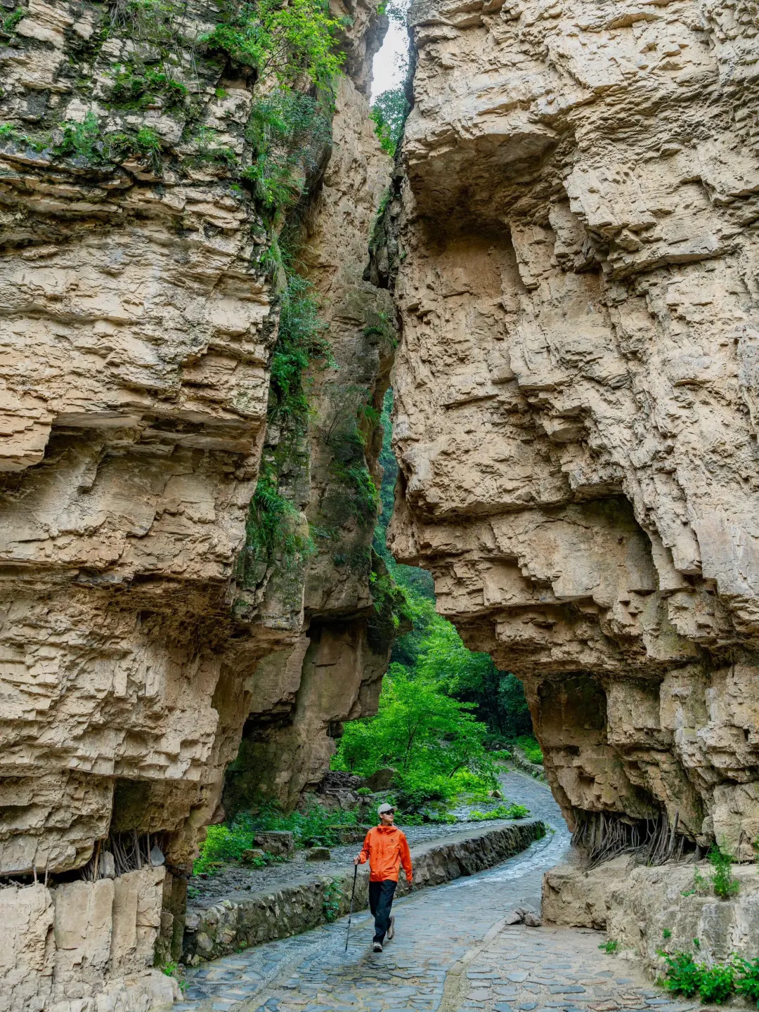 竟然是北京‼️时隔半年的神仙大峡谷开放了🌿