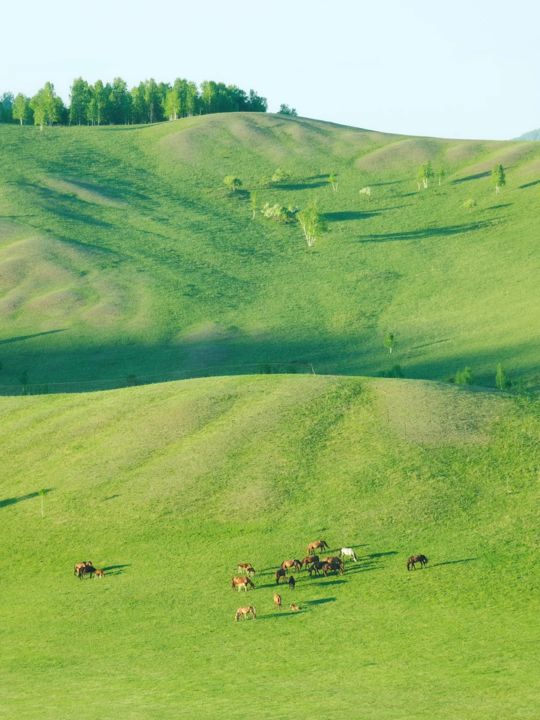 真不是国外❗️生命就该浪费在这种地方啊😭