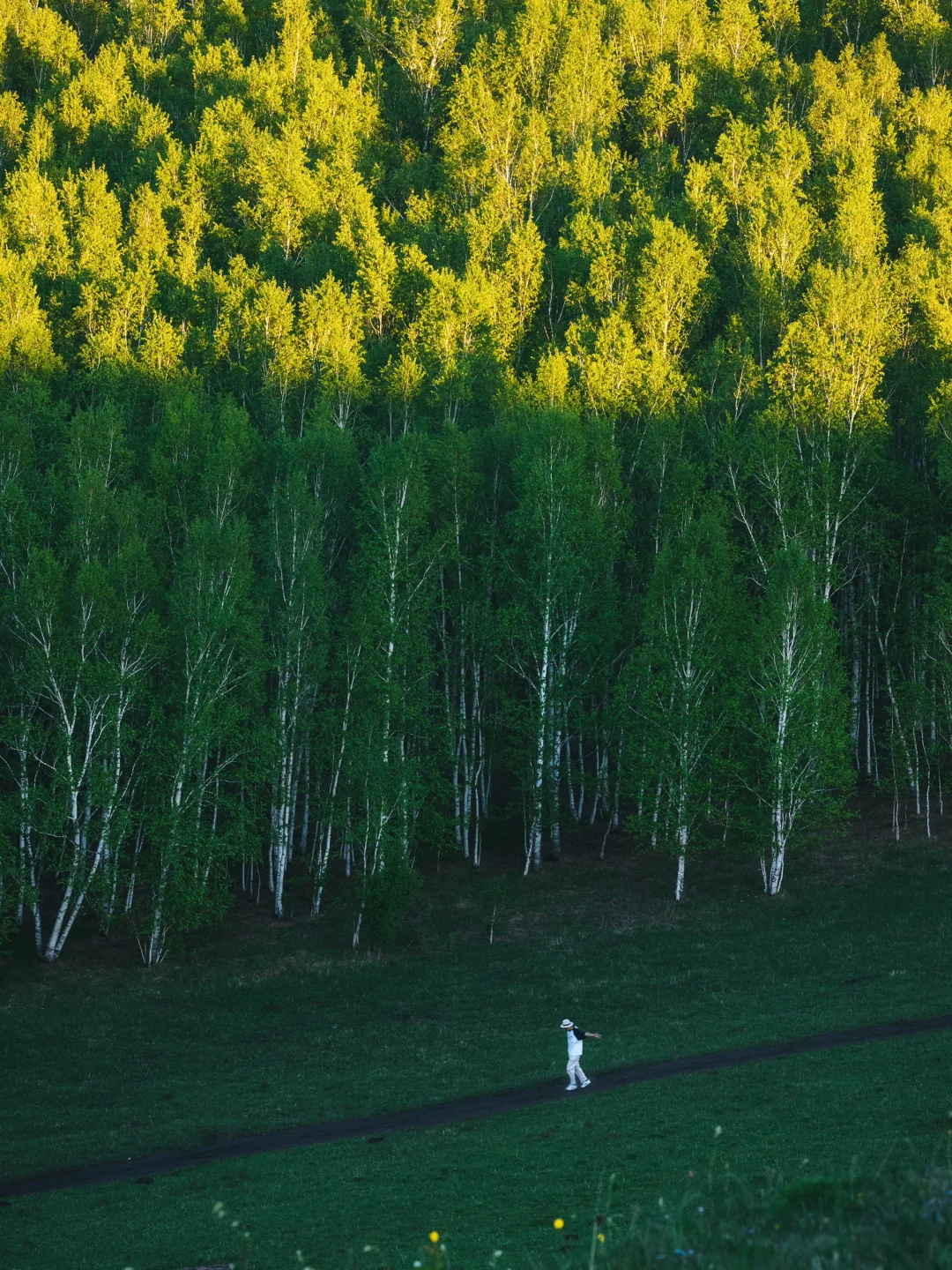 真不是国外❗️生命就该浪费在这种地方啊😭
