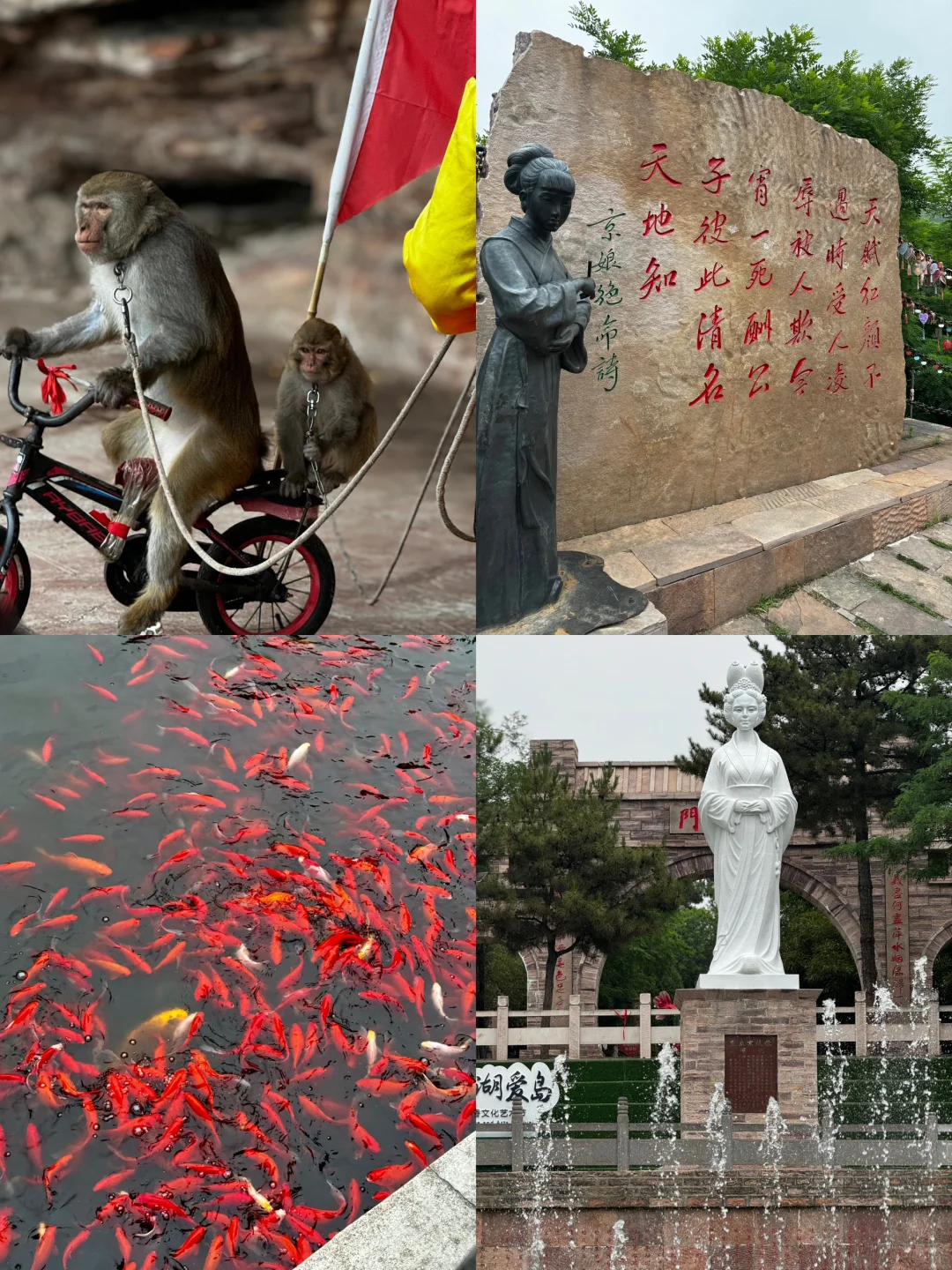 邯郸两日假期游💟