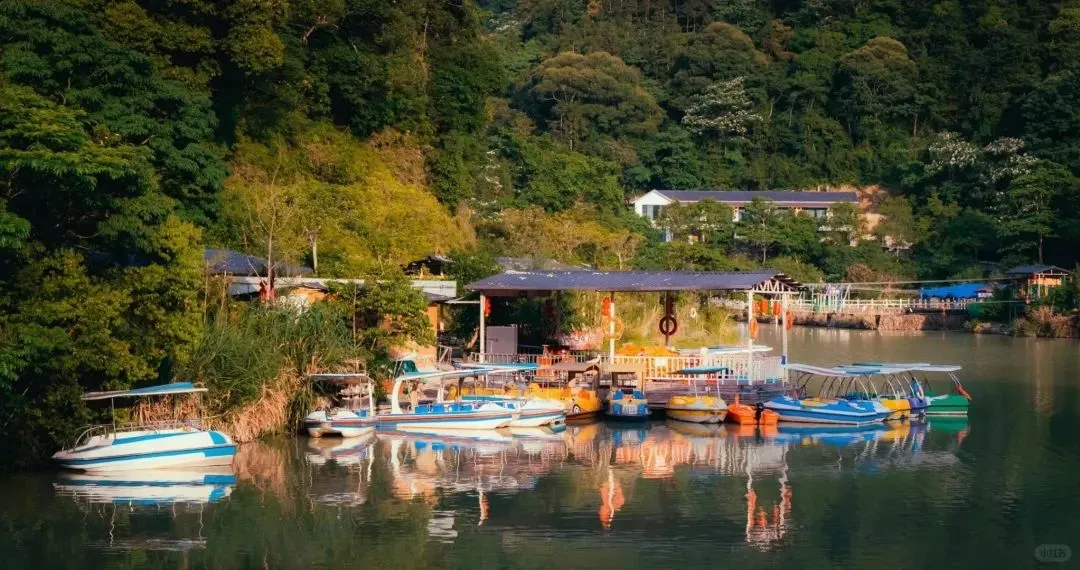 五一假期旅游路线大合集!直接抄😍