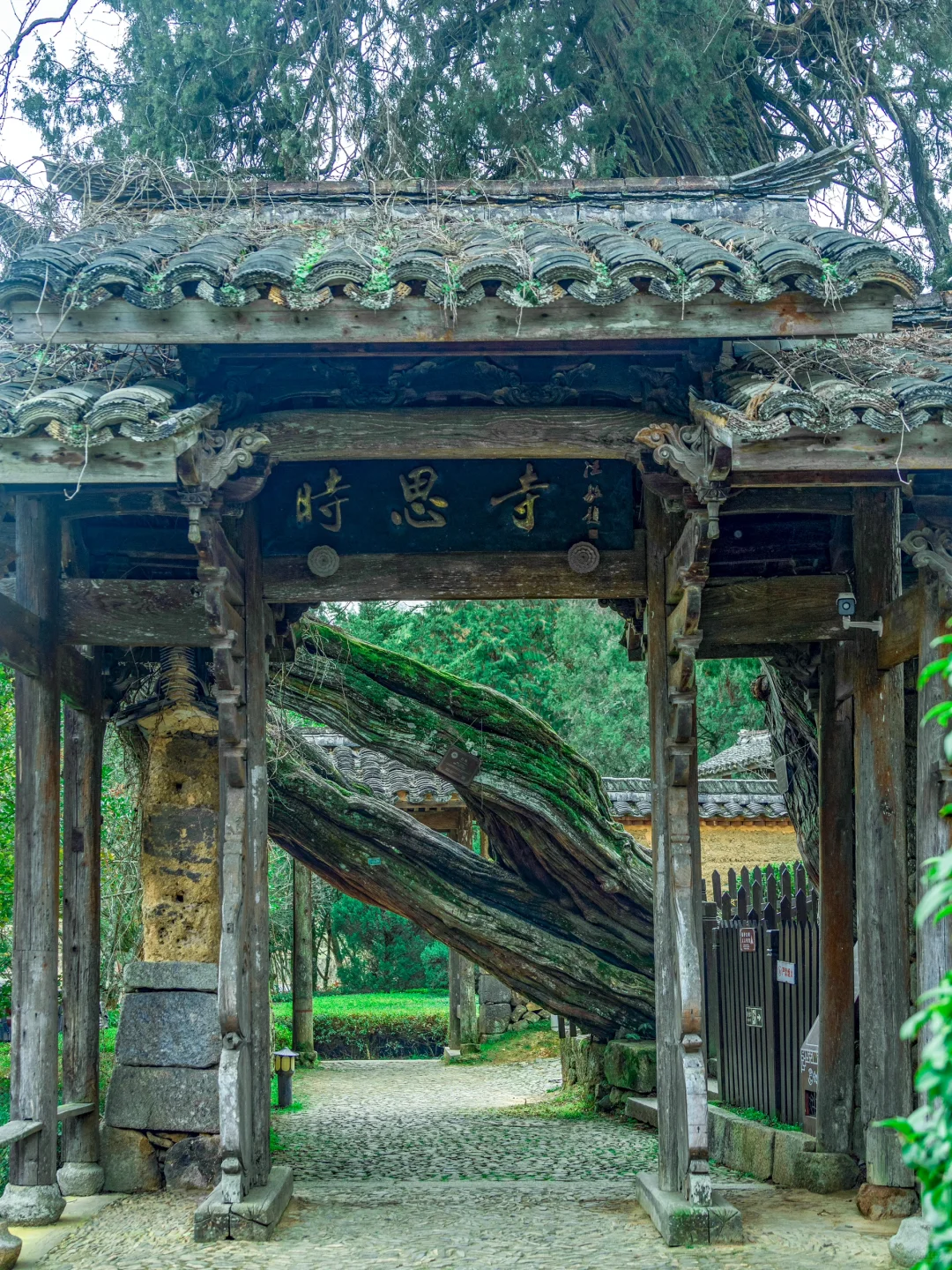 推荐9️⃣个适合五一端午假期出游旅行目的地