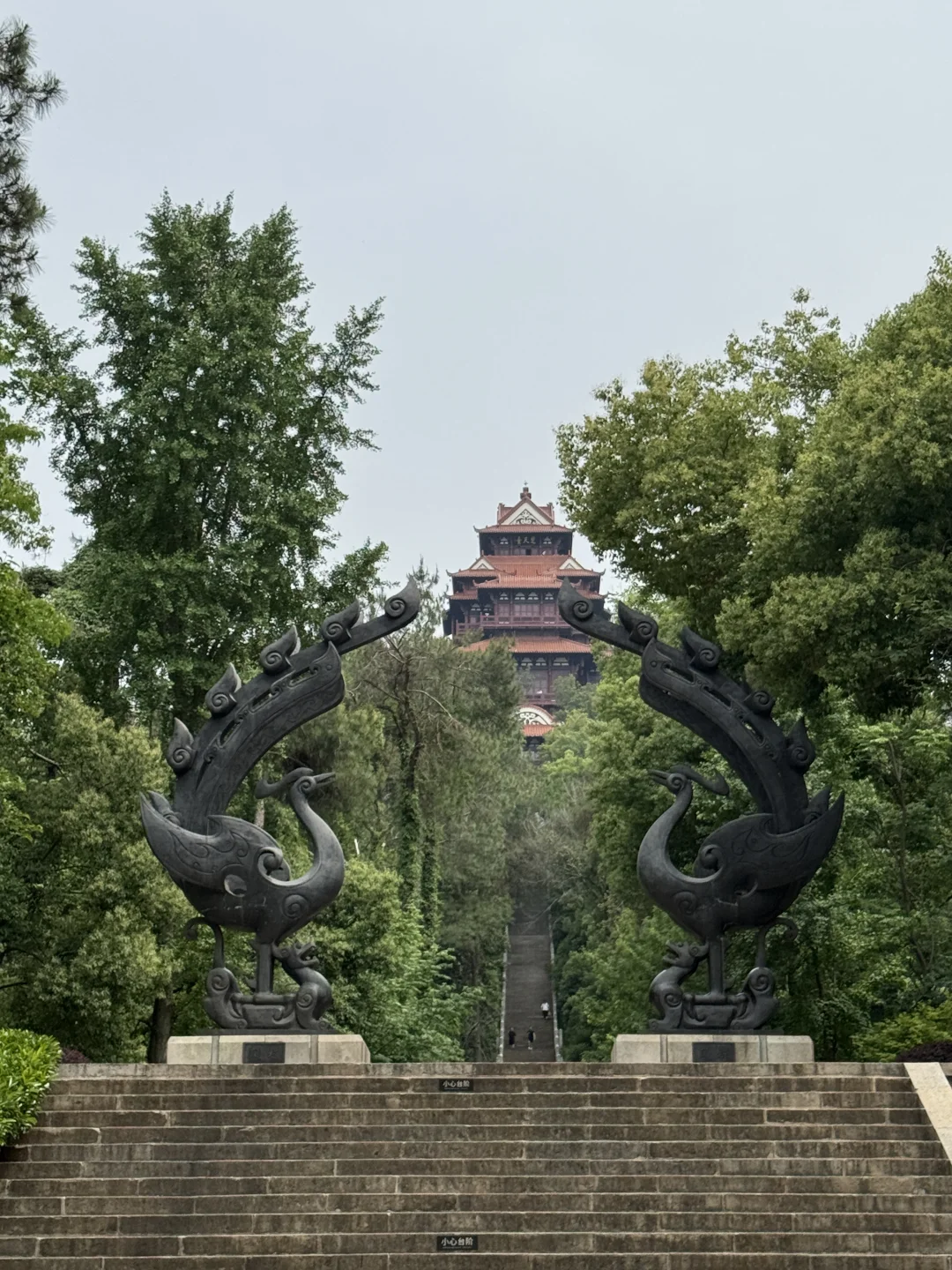 咪咪求助