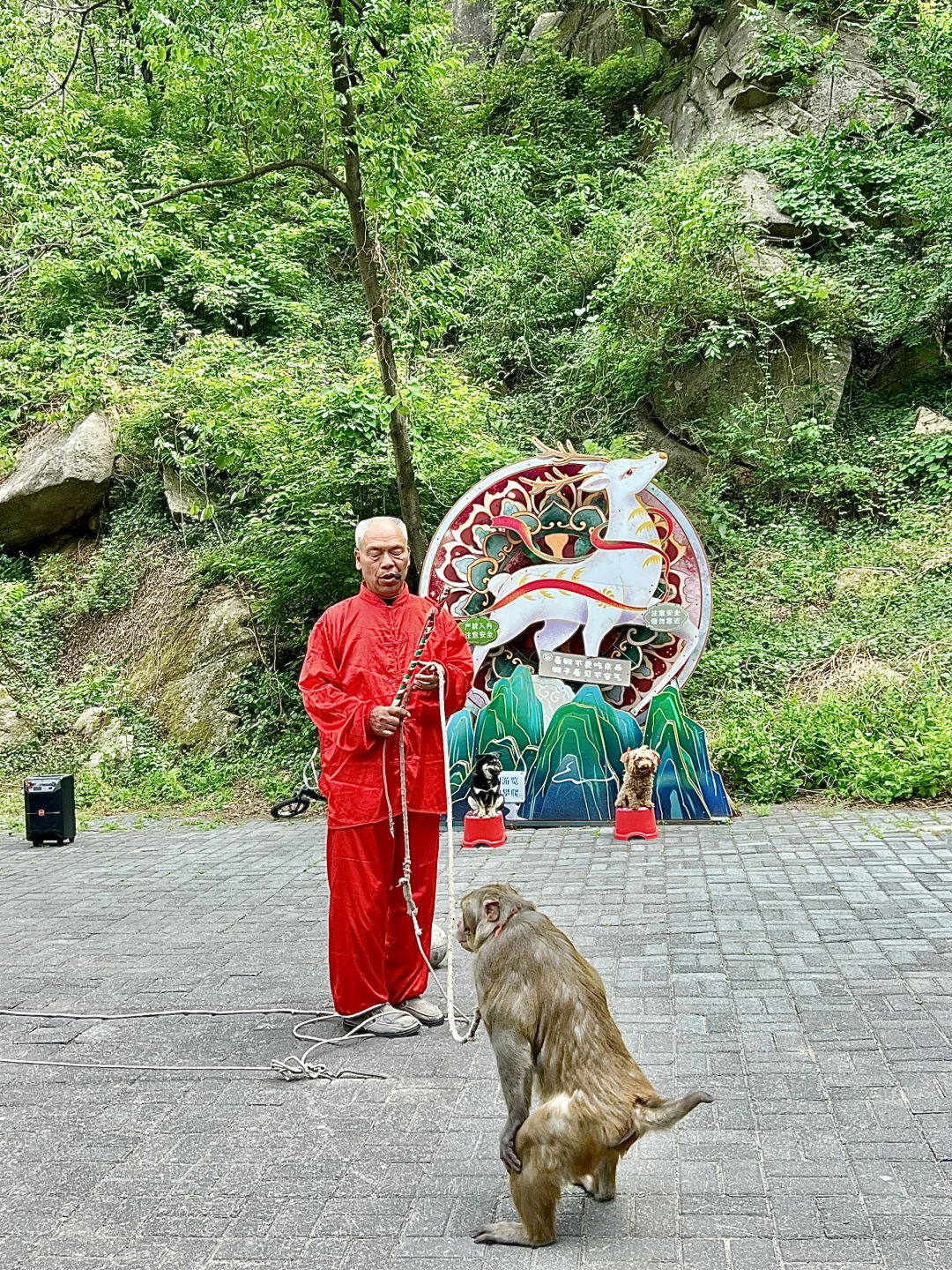 洛阳被严重低估的避暑景区…