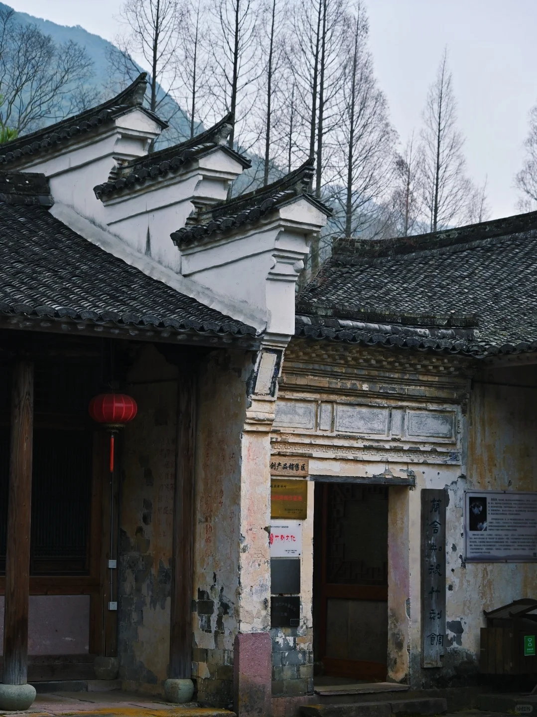 在宁波,今年为止我去过的最美古村落