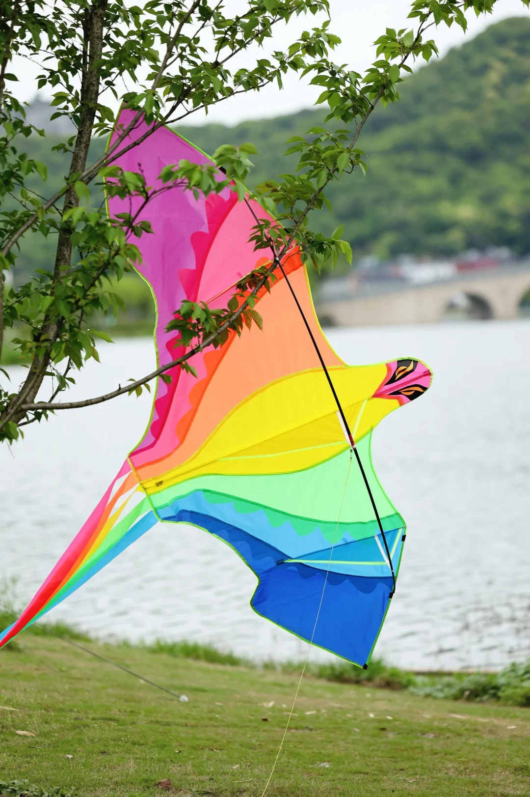 灵山杭城版去有风的地方🍃