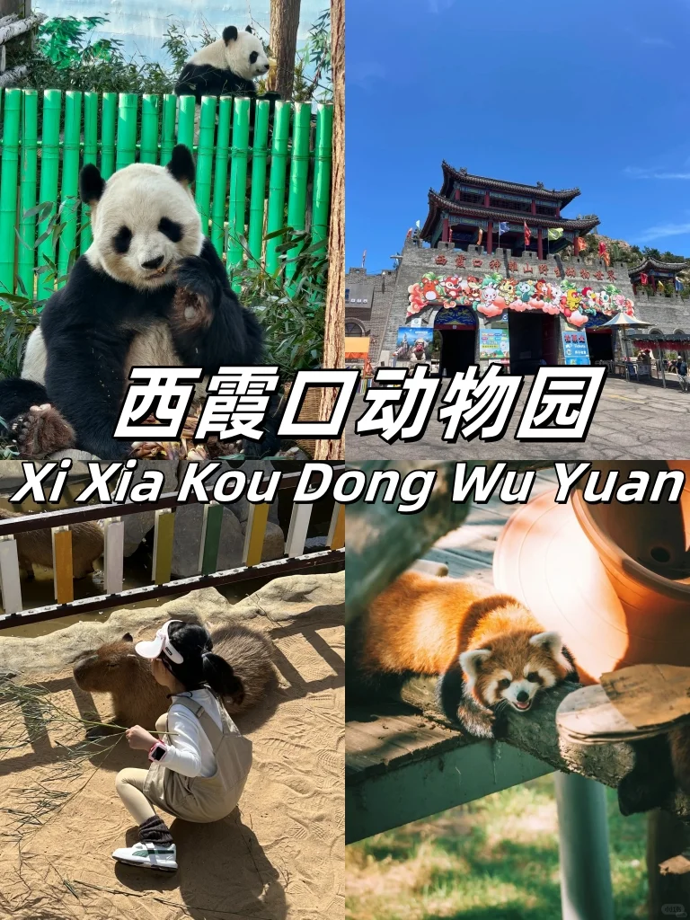 救命!威海这 9 个地方美到我走不动道