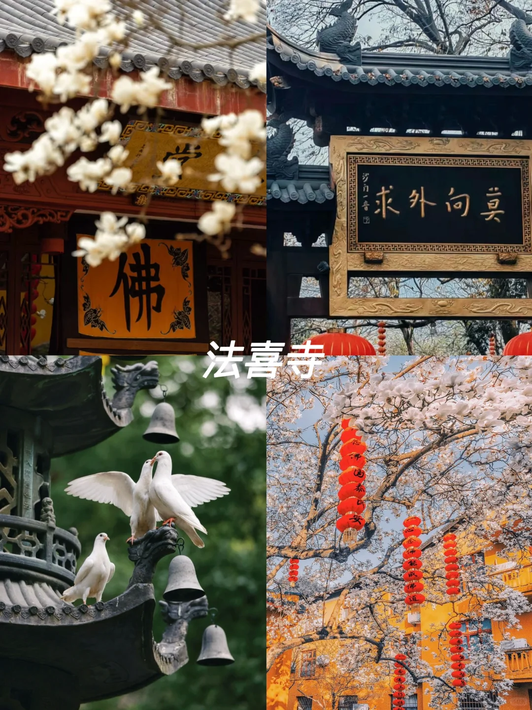 5.1 杭州必去的十大景点 ！人少景美