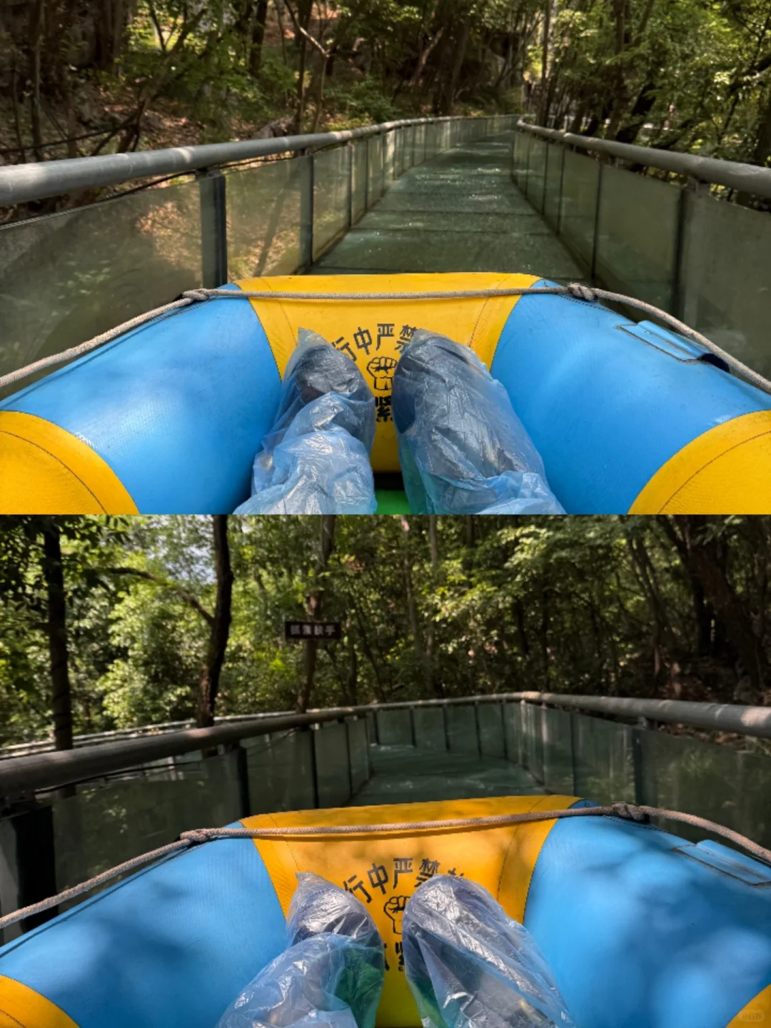 灵山杭城版去有风的地方🍃