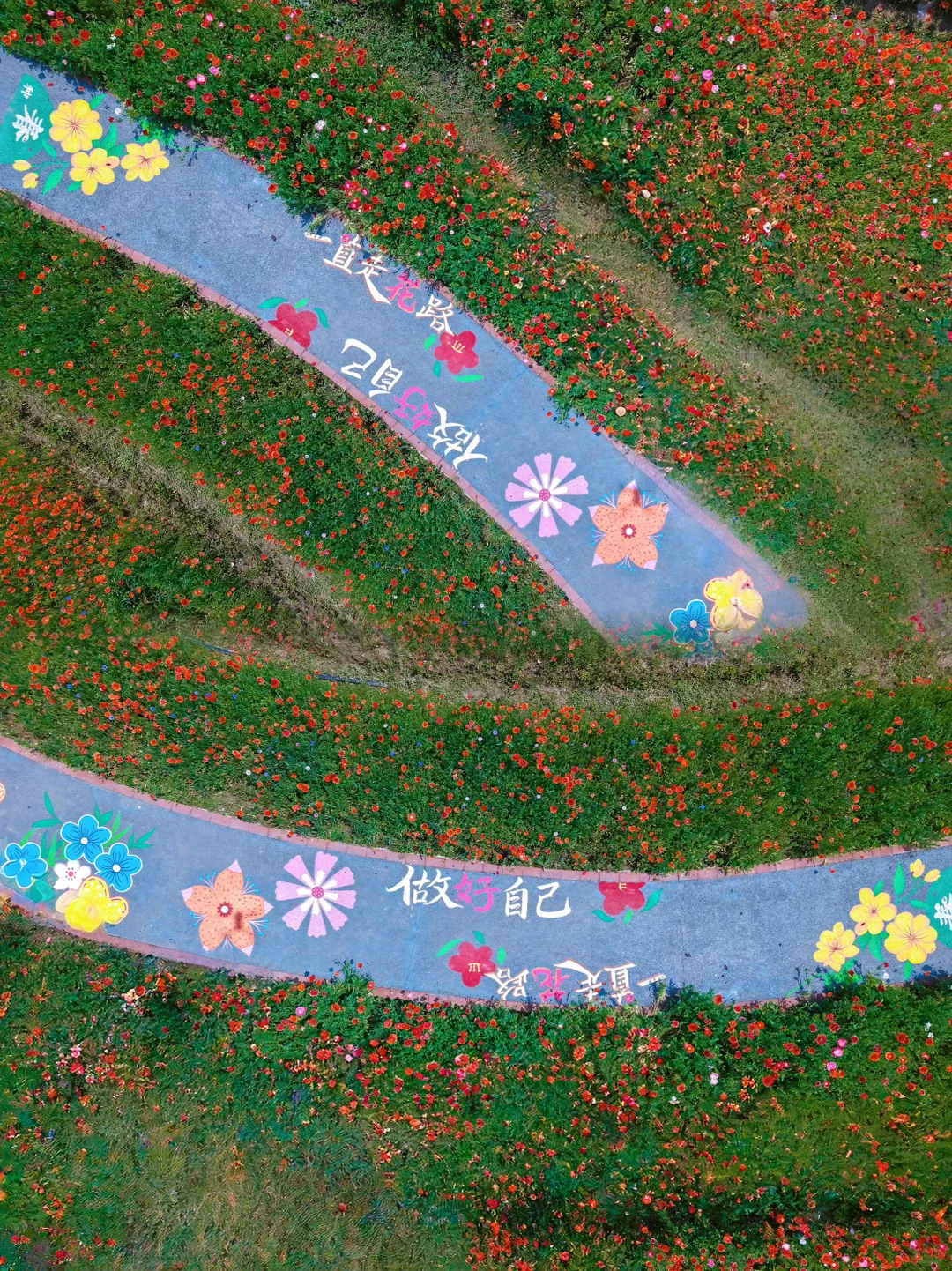 灵山杭城版去有风的地方🍃