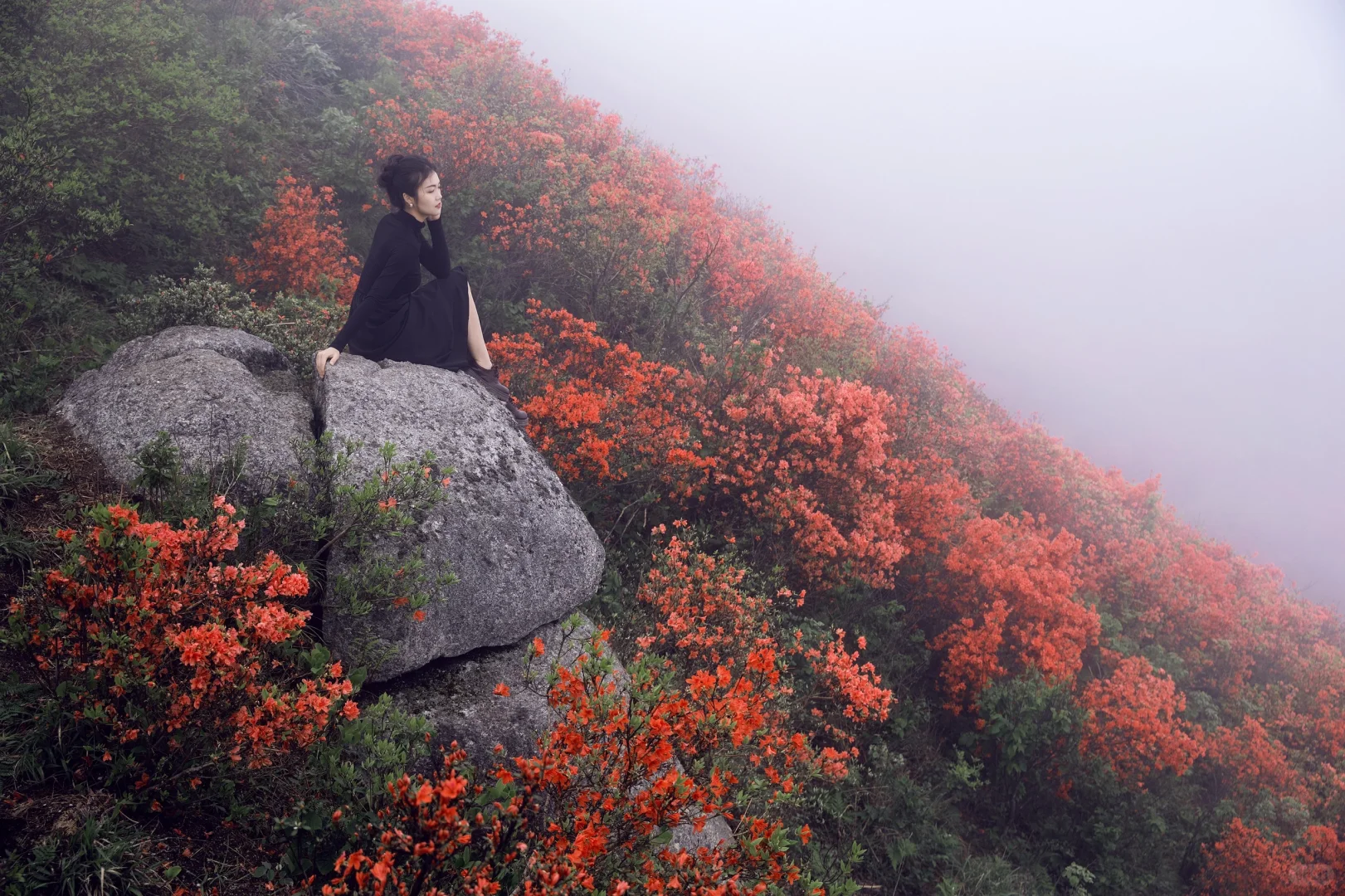 五一反向旅游，松弛感拉满的映山红秘境