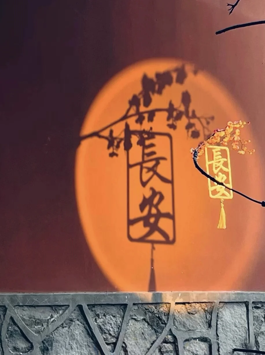 西安,既长安,又常安🌙(五一三天两夜)