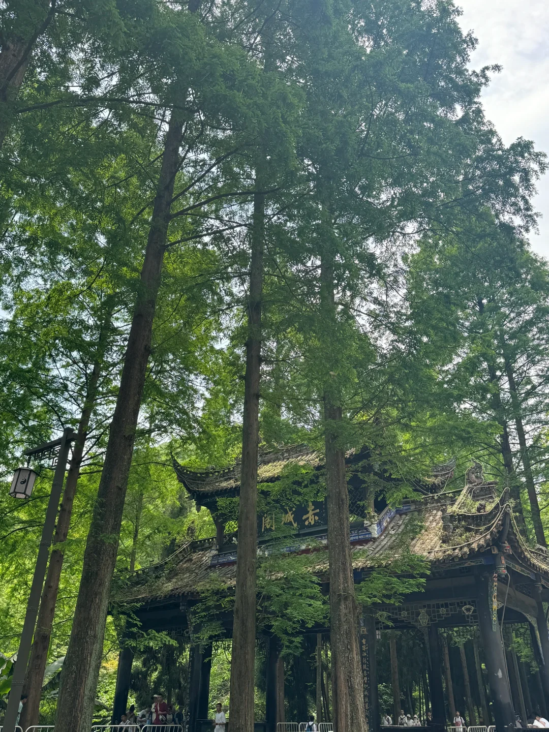 再见！成都！