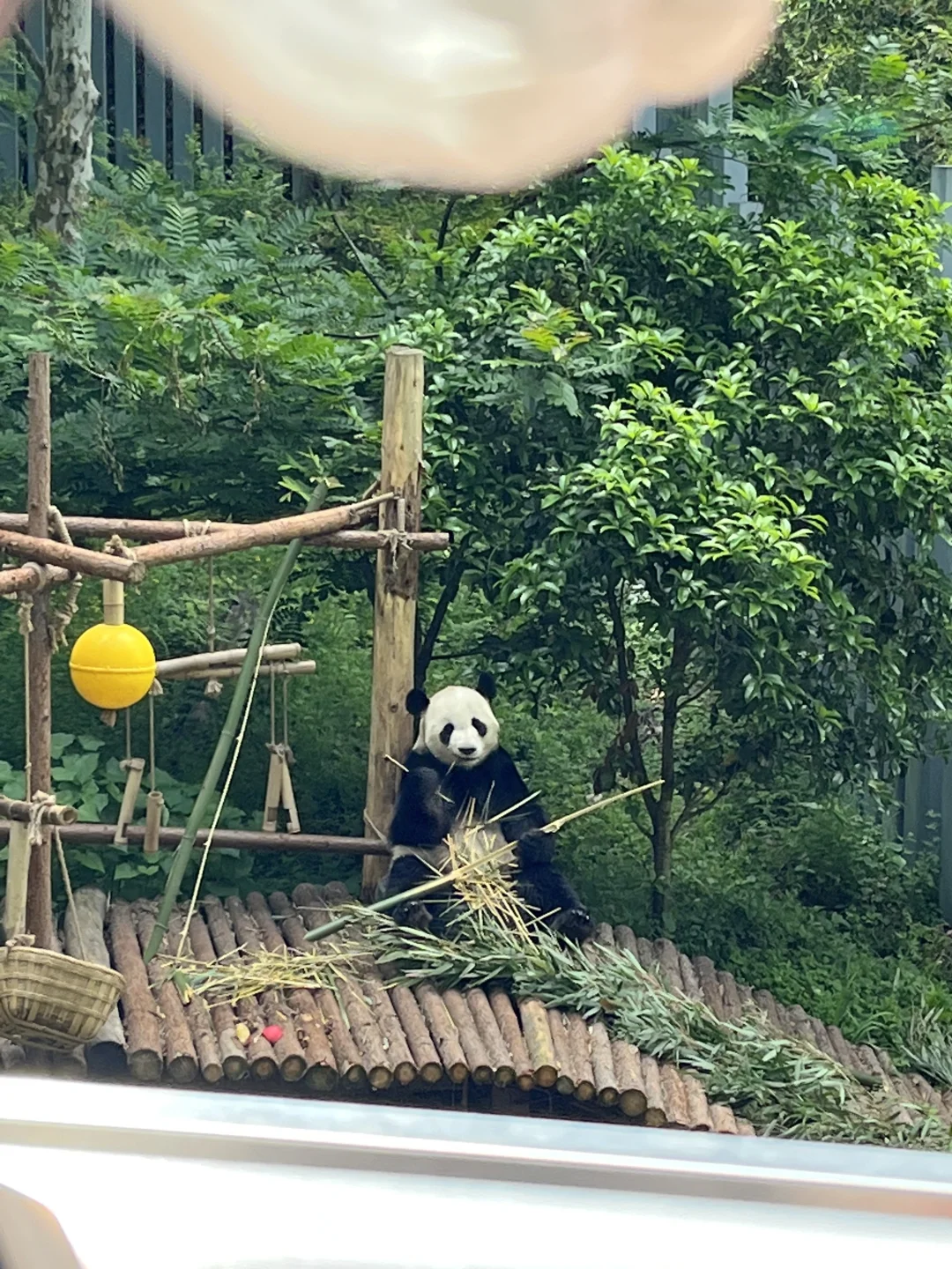 五一贵州旅游攻略