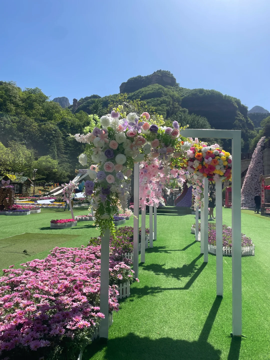 七步沟的莫奈花园也太美了🌸