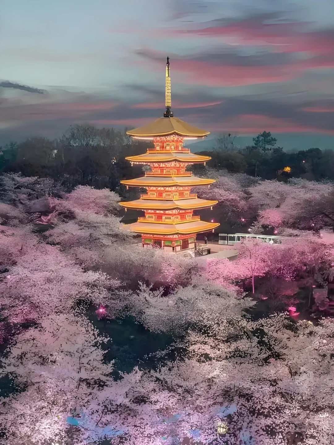 春日花约14｜湖北武汉✨夜赏樱花黄鹤楼