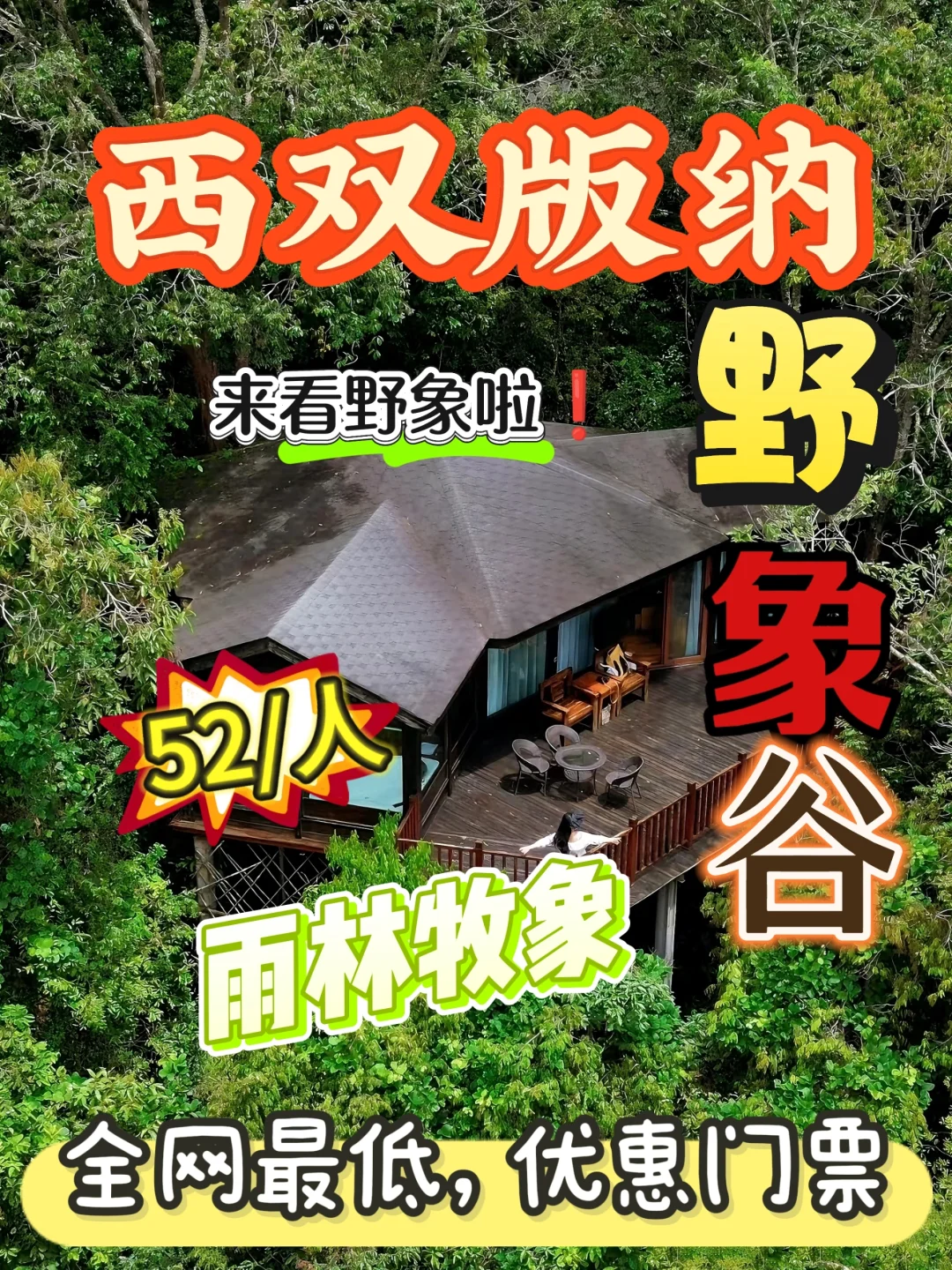 西双版纳野象谷景区门票‖游玩攻略