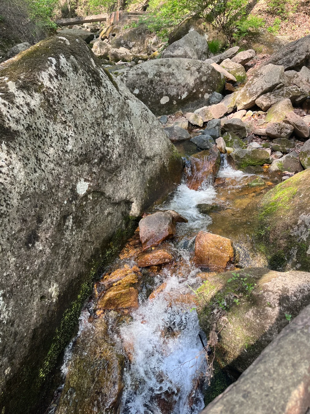 人少景美🌳小城游玩可真舒服🍃全家都❤️