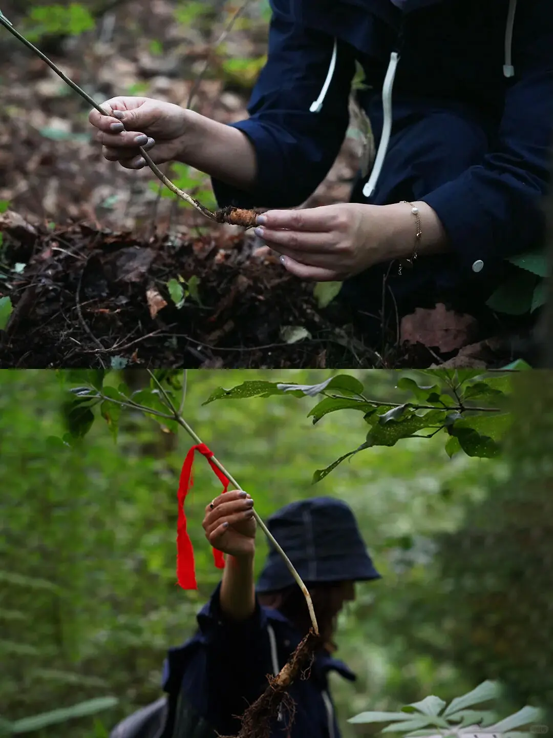 带娃去了22℃的长白山，真的比新西兰还震撼！