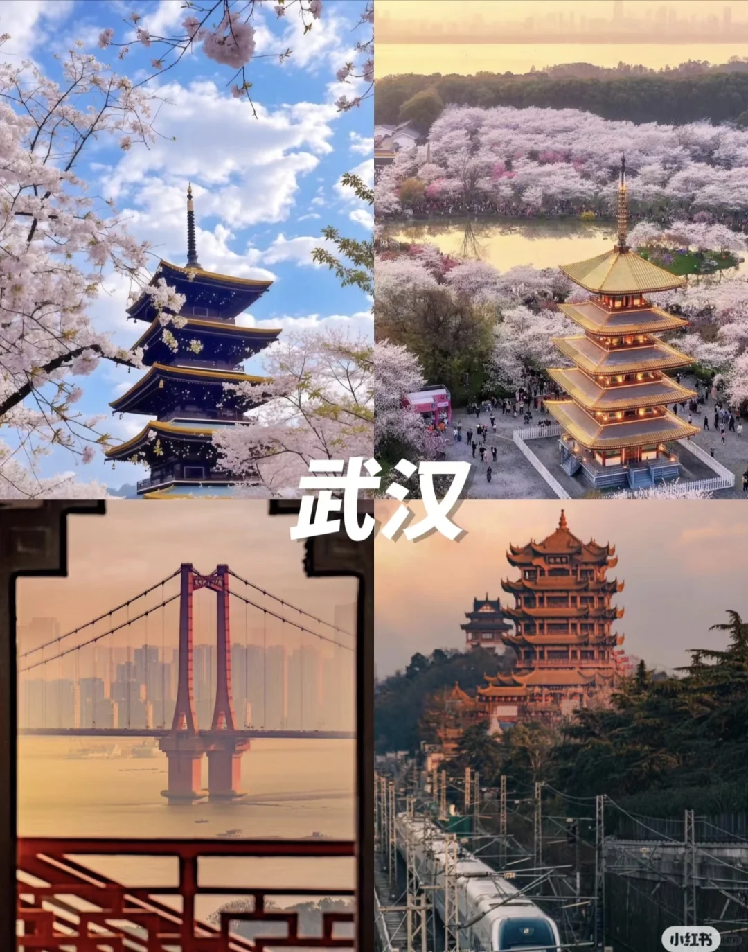 出去玩-保姆级推荐