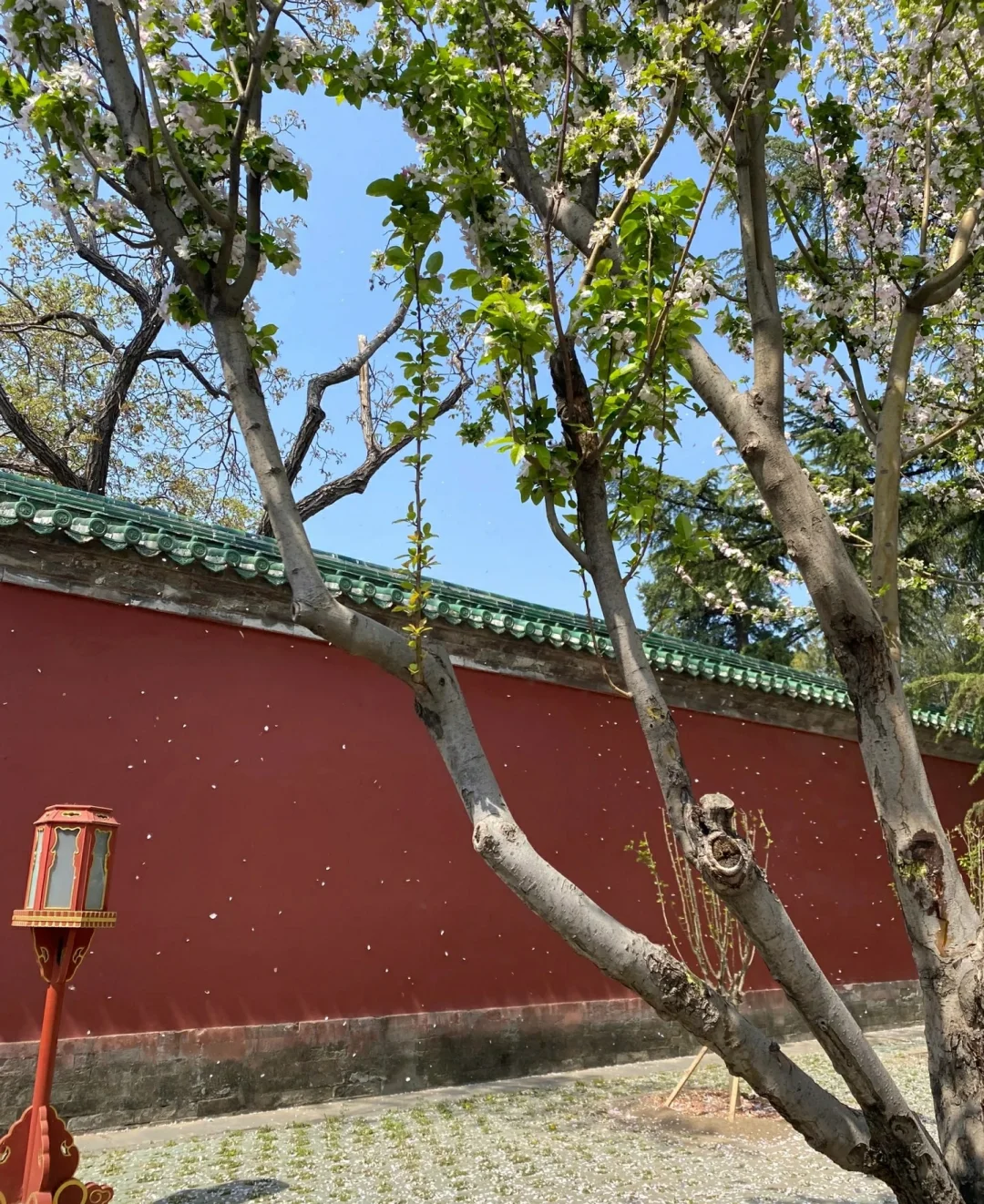 真有故事的古建筑！太美了