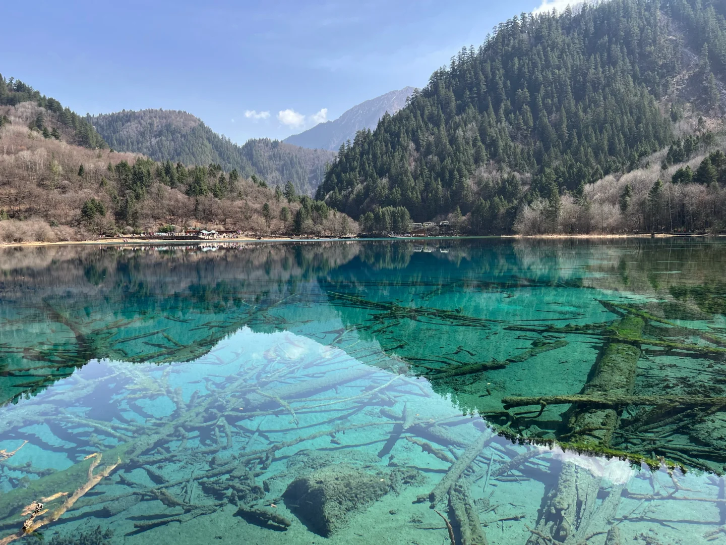 4.5📍花一千块去九寨沟已回！！值不值