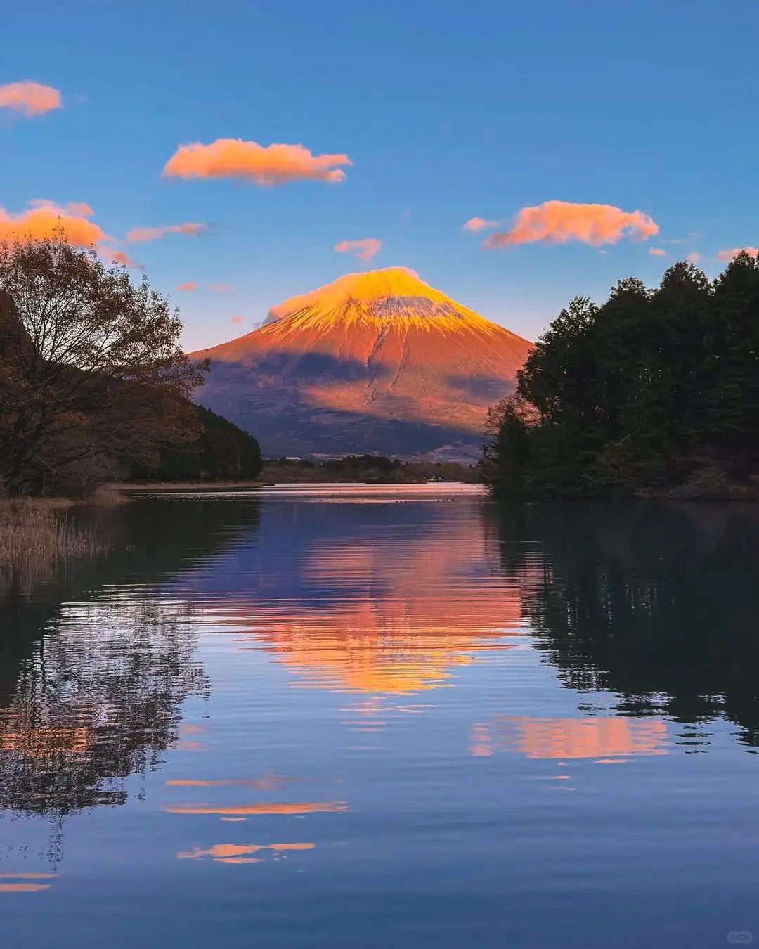 🚗富士山拼车游 | 一站式打卡绝美景点