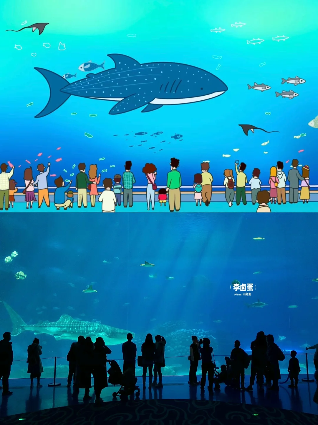 珠海3天2晚（真正的度假不劳累）淡季可参考