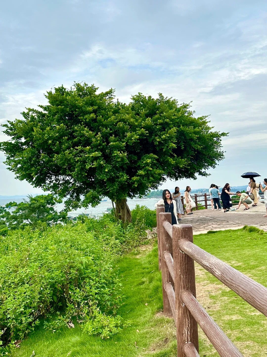我宣布！！这是广西坠值得去的海岛🏝️