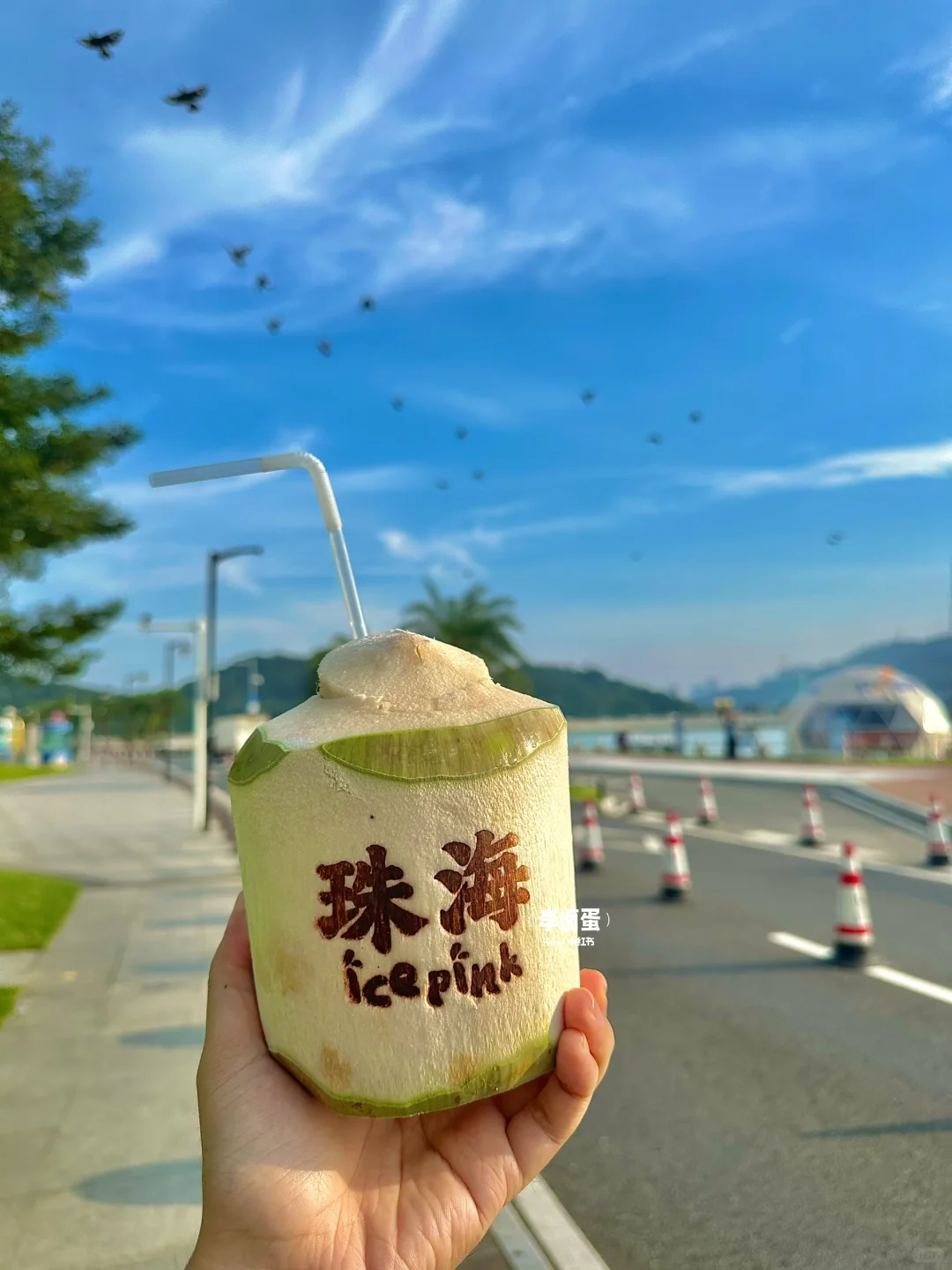 珠海3天2晚（真正的度假不劳累）淡季可参考