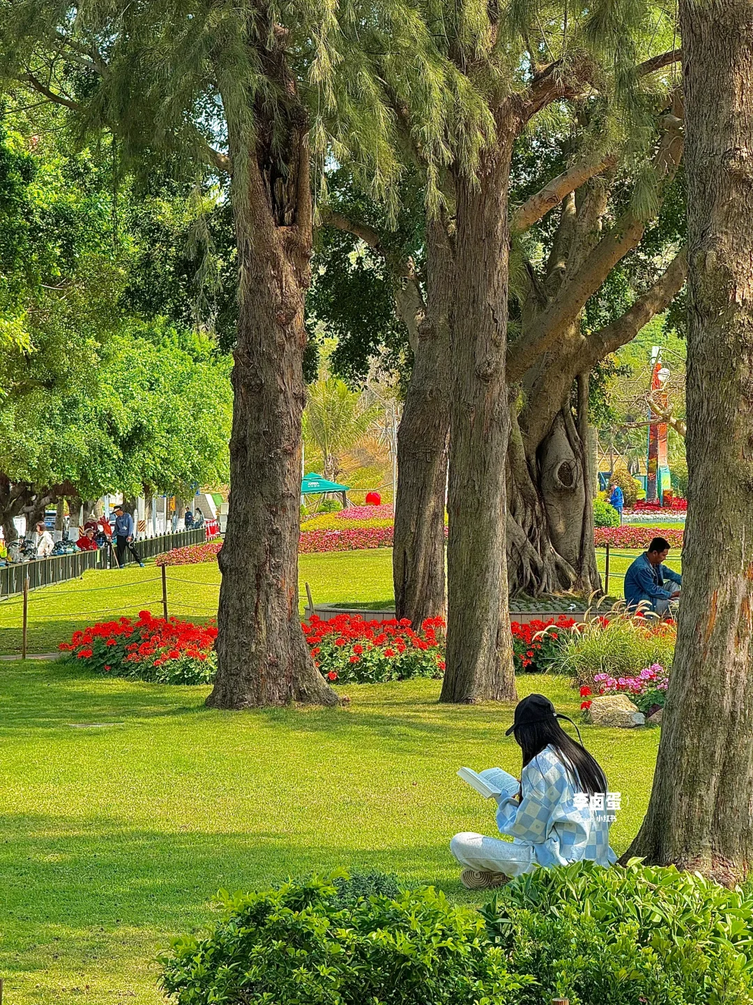 珠海3天2晚（真正的度假不劳累）淡季可参考