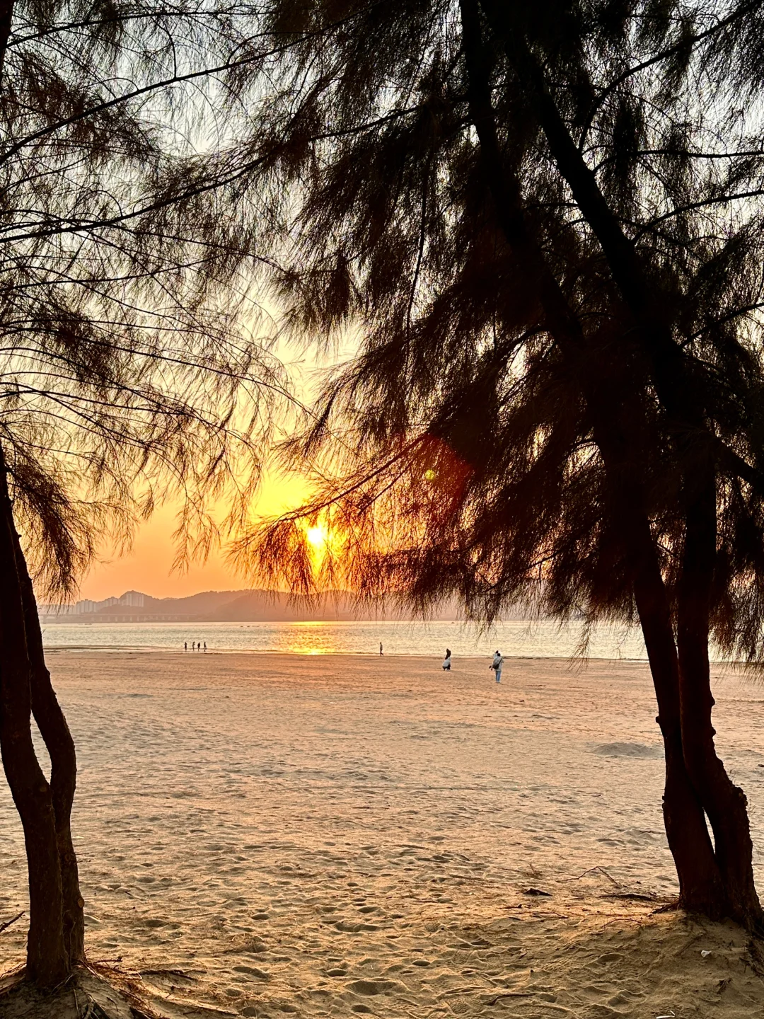 我宣布！！这是广西坠值得去的海岛🏝️