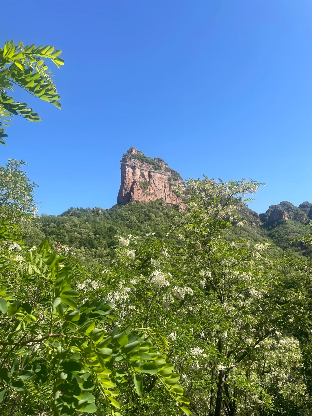 不止奔跑，还有风景