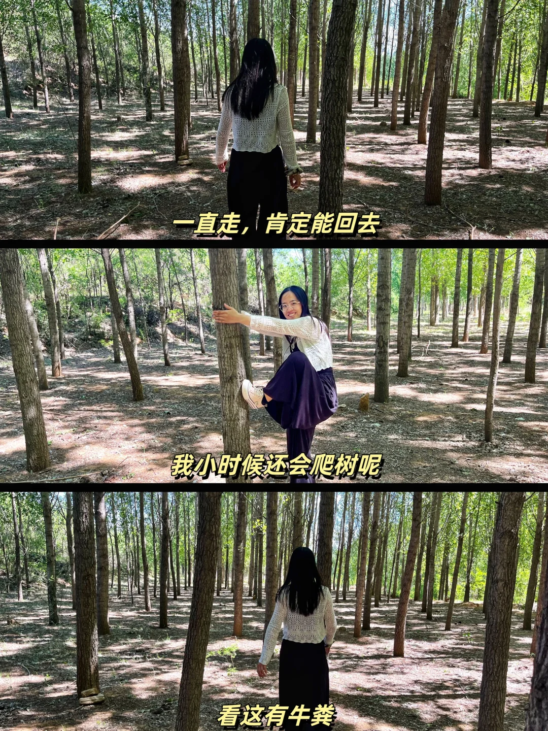 逃离人群和城市，家乡的田野才是最美的景区
