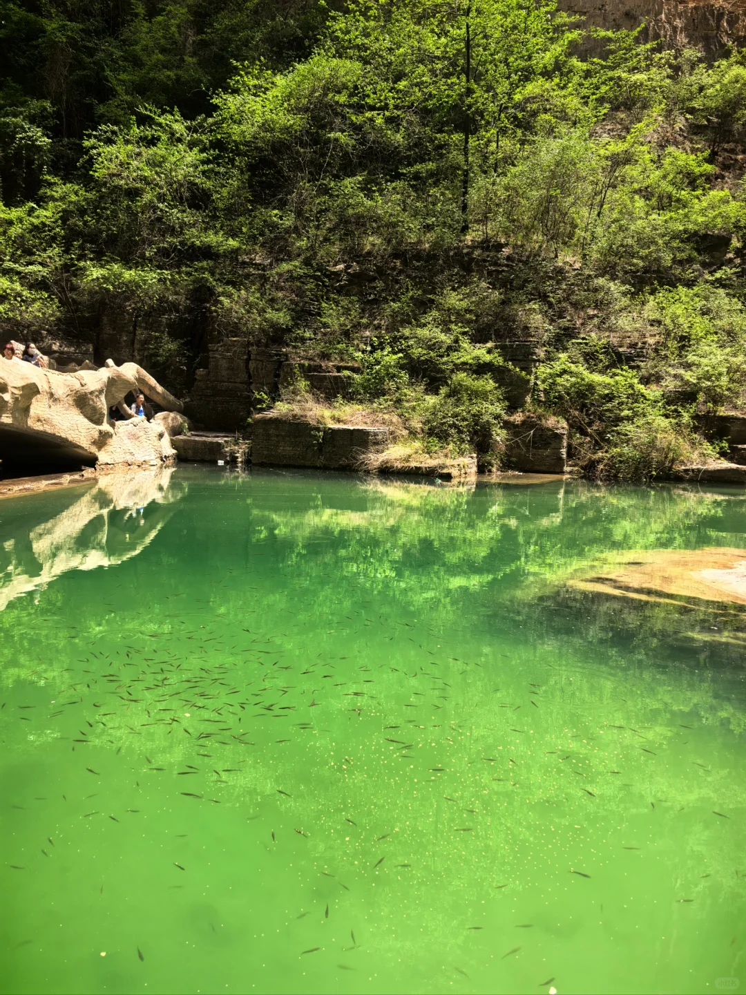 📍北方小九寨|夏天来通天峡这么玩❗️