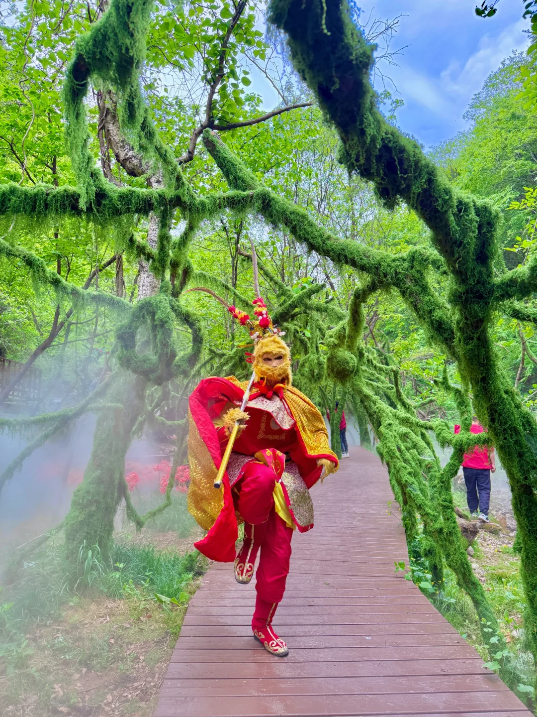 洛阳王府竹海一日游｜保姆级懒人游玩攻略