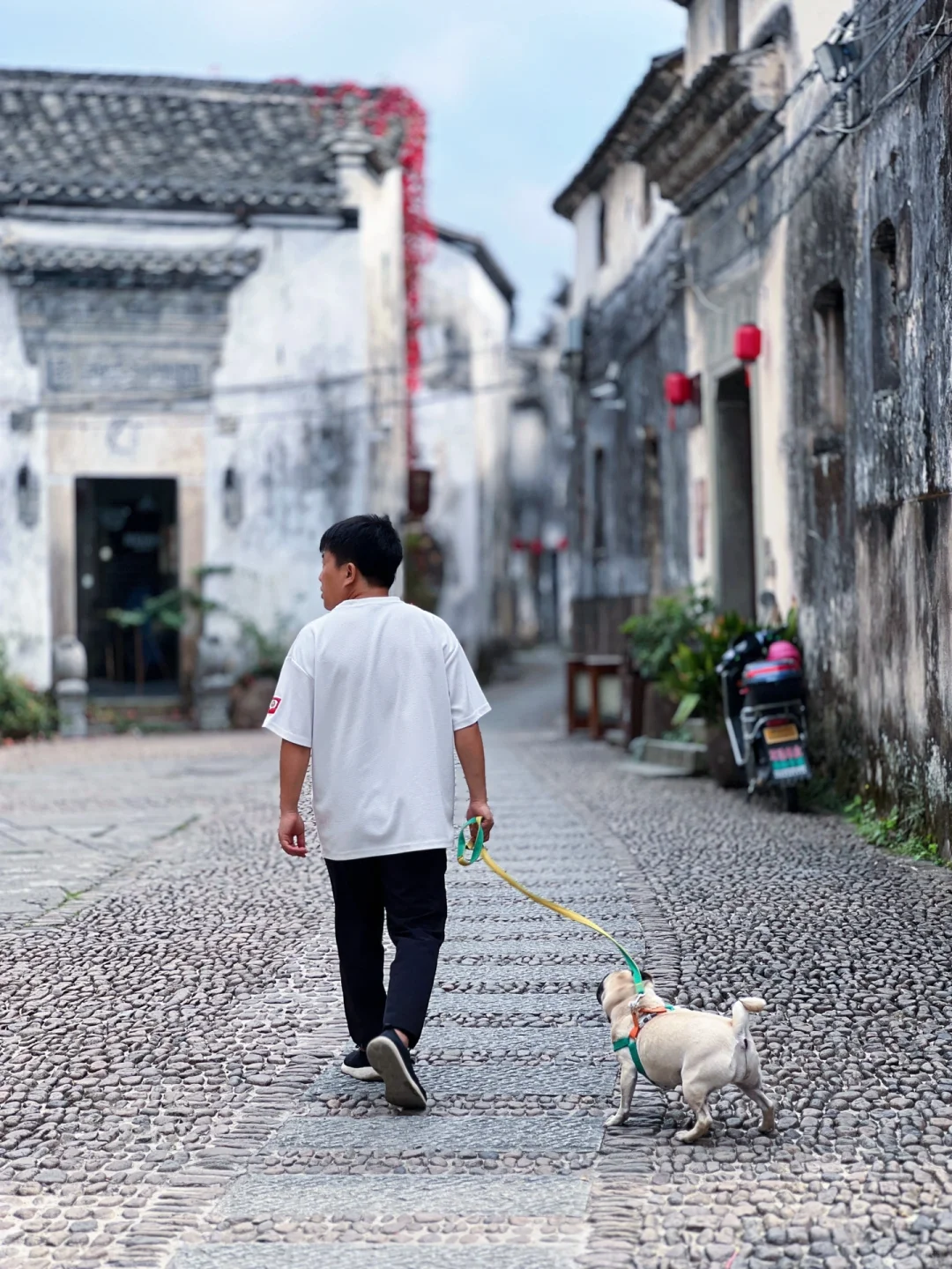 江浙沪的6️⃣大避世古村，一个比一个美?